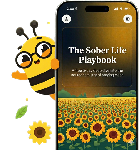 Sunflower app with Sam the bee