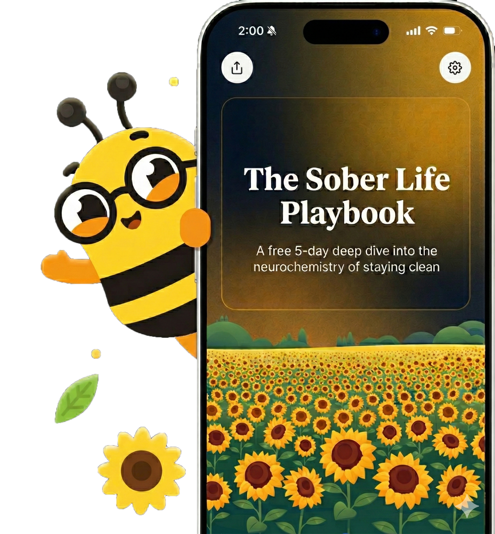 Sunflower app with Sam the bee